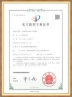 Honors and Qualifications